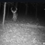 TBD ROME Road  West Frankfort IL 62896