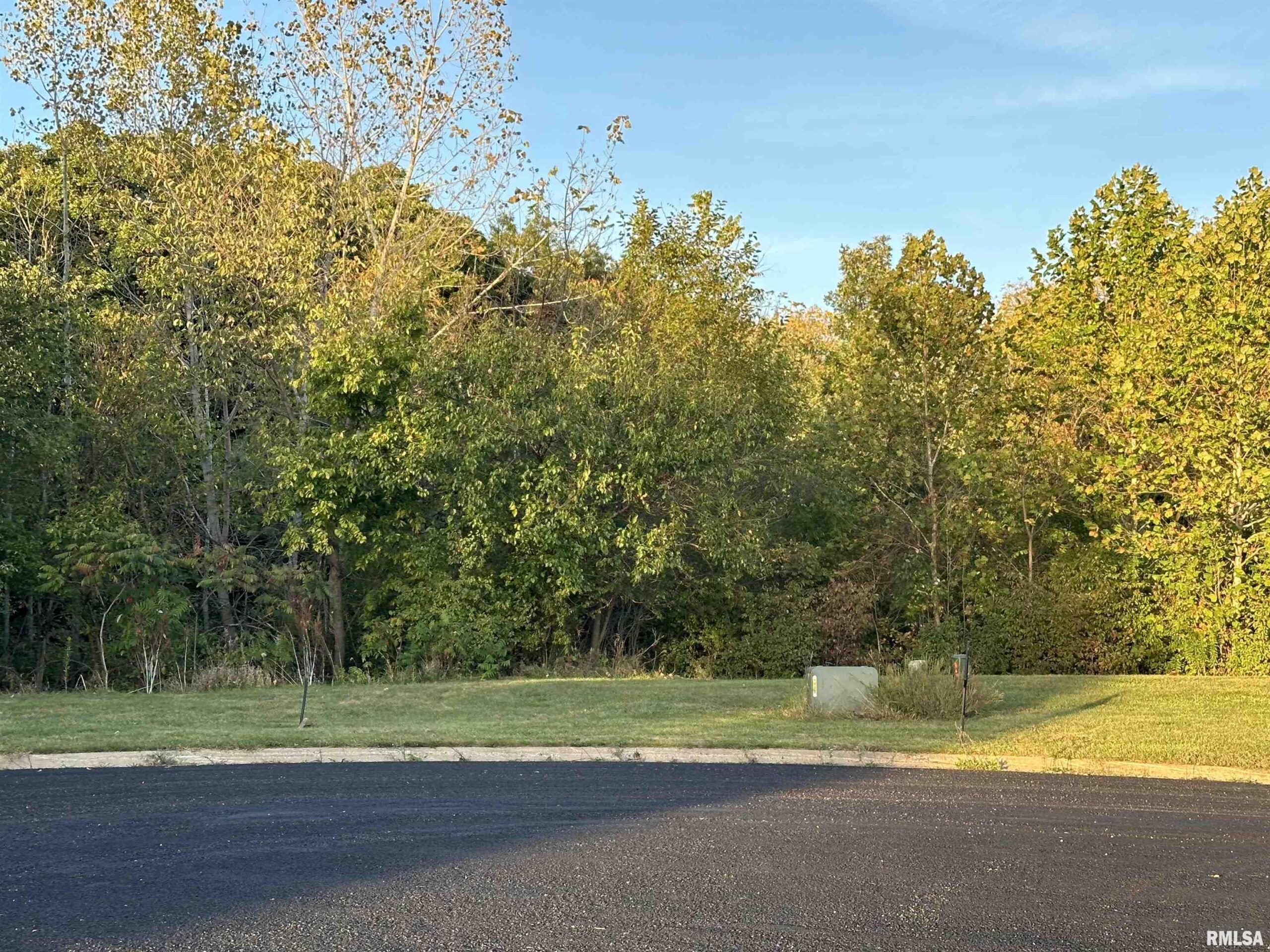 104 Scarlet Court  Washington IL 61571