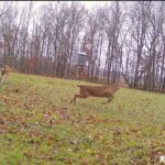 TBD ROME Road  West Frankfort IL 62896
