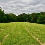 007 Battleford Road  Stonefort IL 62987