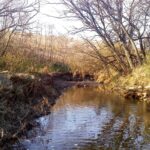 COTTONWOOD Road  Elmwood IL 61529