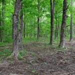 002 Battleford Road  Stonefort IL 62987