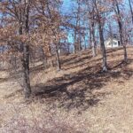 245 PINE RIDGE Court  Dahinda IL 61428
