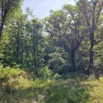 2116 Prichard Road  Peoria IL 61615
