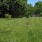 457 MADISON Street Macomb IL 61455