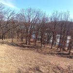 245 PINE RIDGE Court  Dahinda IL 61428