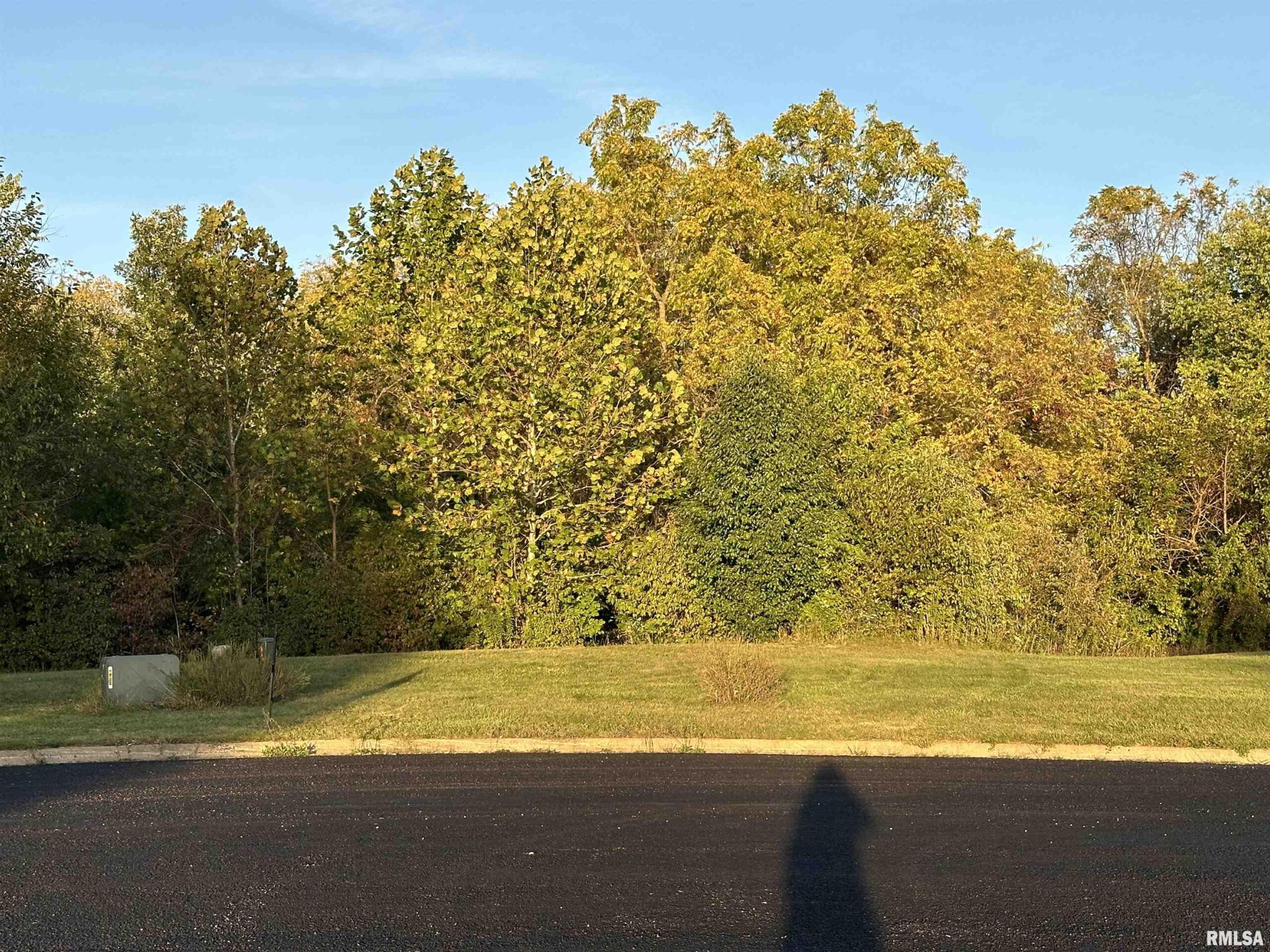 106 Scarlet Court  Washington IL 61571