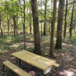 0000 Dutchman Trail  Vienna IL 62995