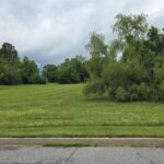 0 MALL Drive  Carbondale IL 62901