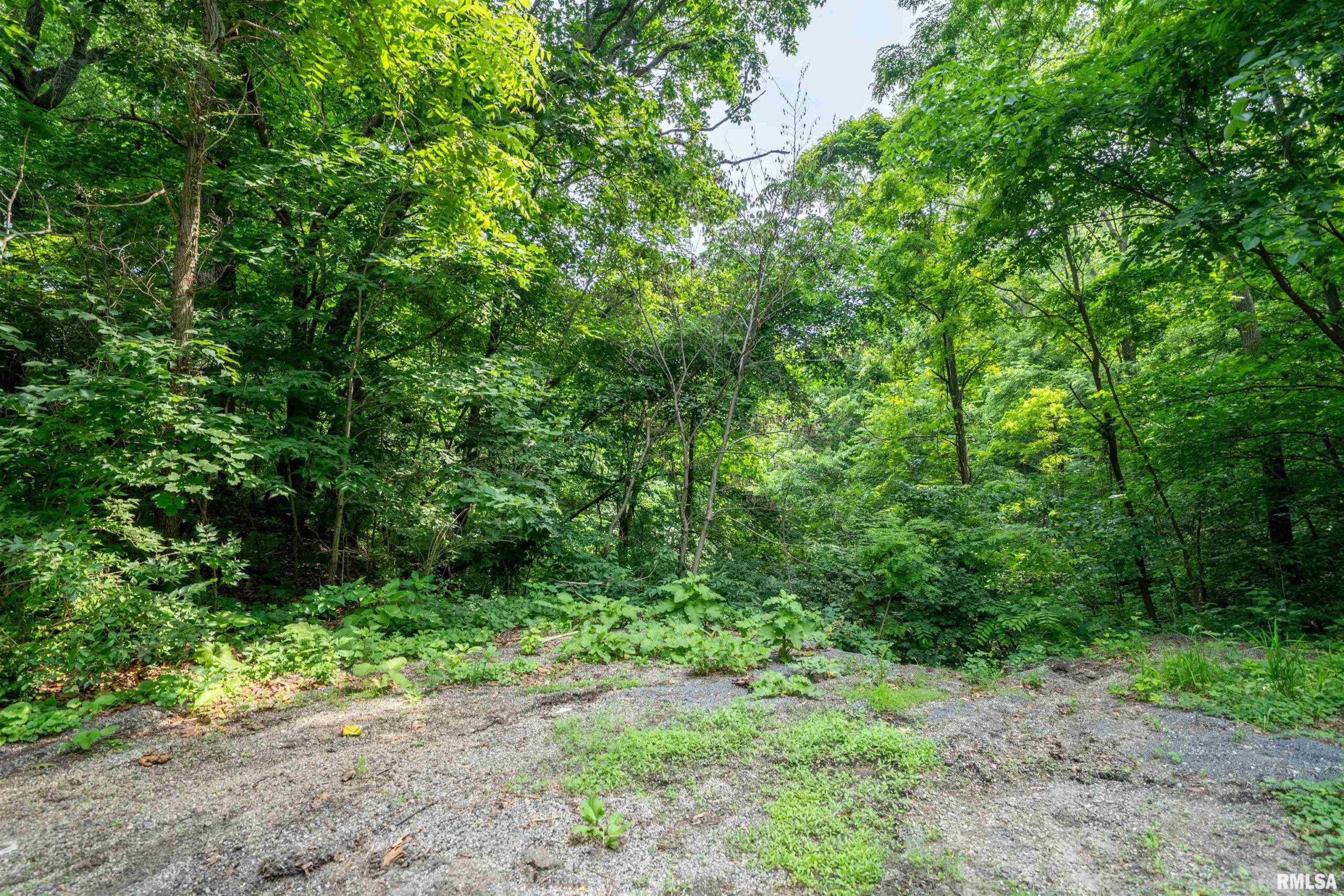 #8 HARP HOLLOW Road  Peoria IL 61607