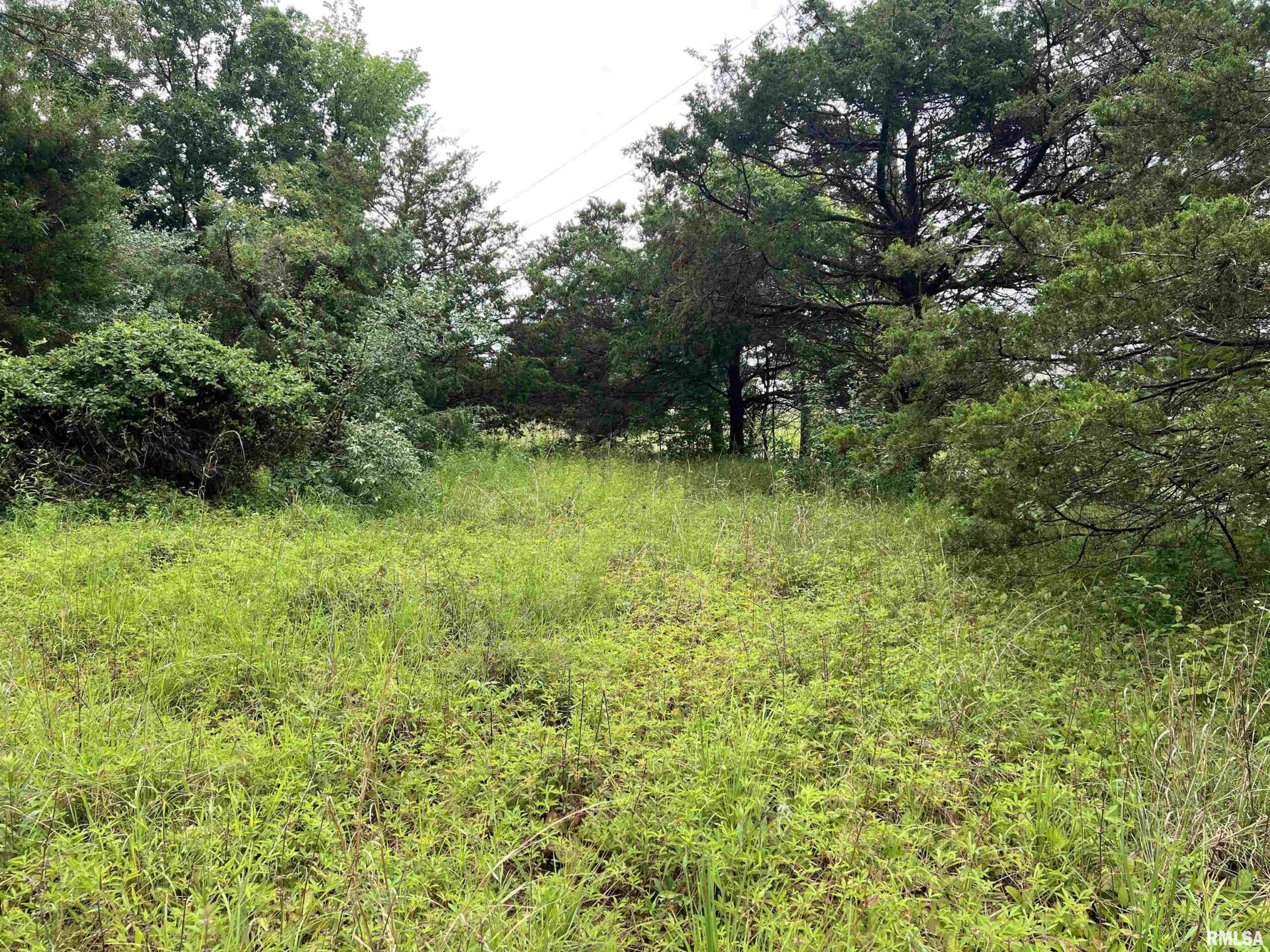 Lot 211 CHEROKEE Drive  Goreville IL 62939