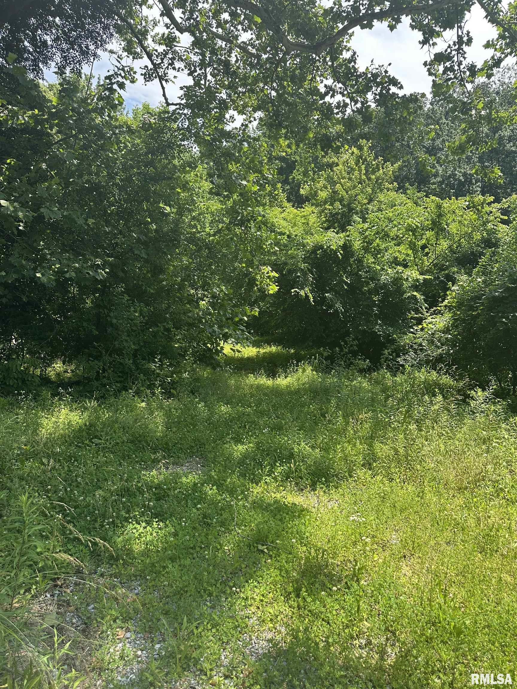 585 Berryville Road  Jonesboro IL 62952