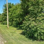 8739 TURNER Highway  Astoria IL 61501