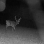 TBD ROME Road  West Frankfort IL 62896
