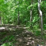 000 Robinson Hill Road  Stonefort IL 62987