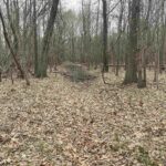 TBD ROME Road  West Frankfort IL 62896