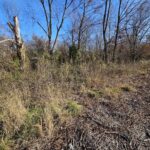 0000 IL Hwy 37 Highway Bonnie IL 62816