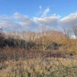 15215 42ND Street West  Milan IL 61264