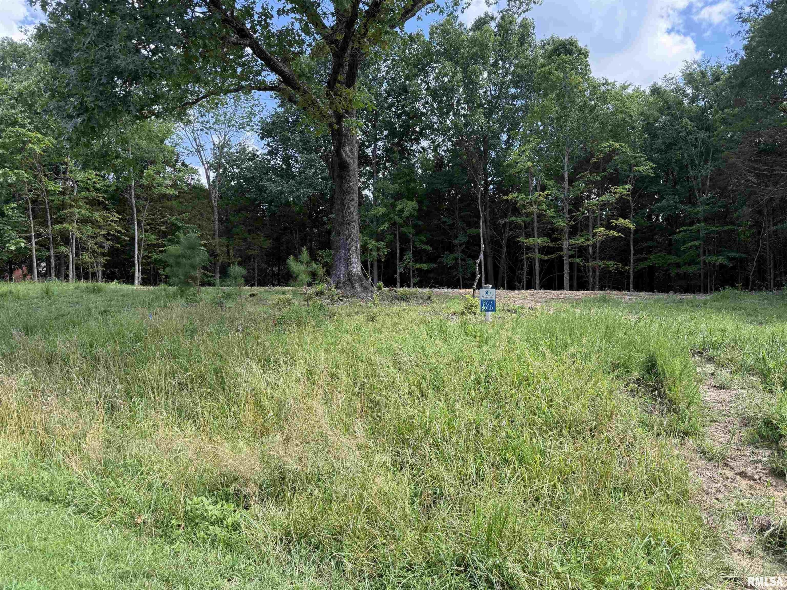 Lot 305 Pecan Point Lane  Goreville IL 62939