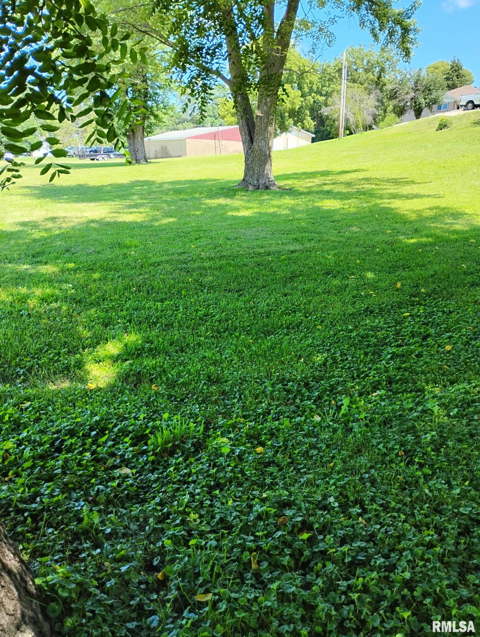 351 AVENUE D Avenue D  Canton IL 61520