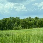 ROUTE 26   Metamora IL 61548