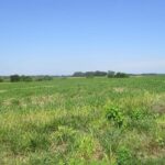 0000 Bean Road  Whittington IL 62897