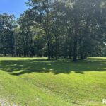 Lots 50-51 DEER PARK Drive  Dix IL 62830