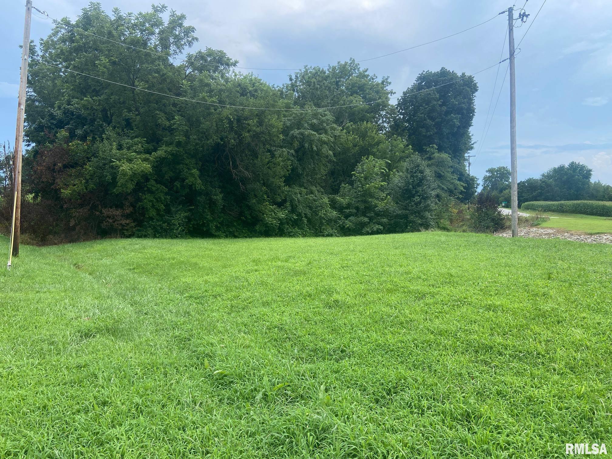 0.31 ac m/l ANGLE Street Plainville IL 62365