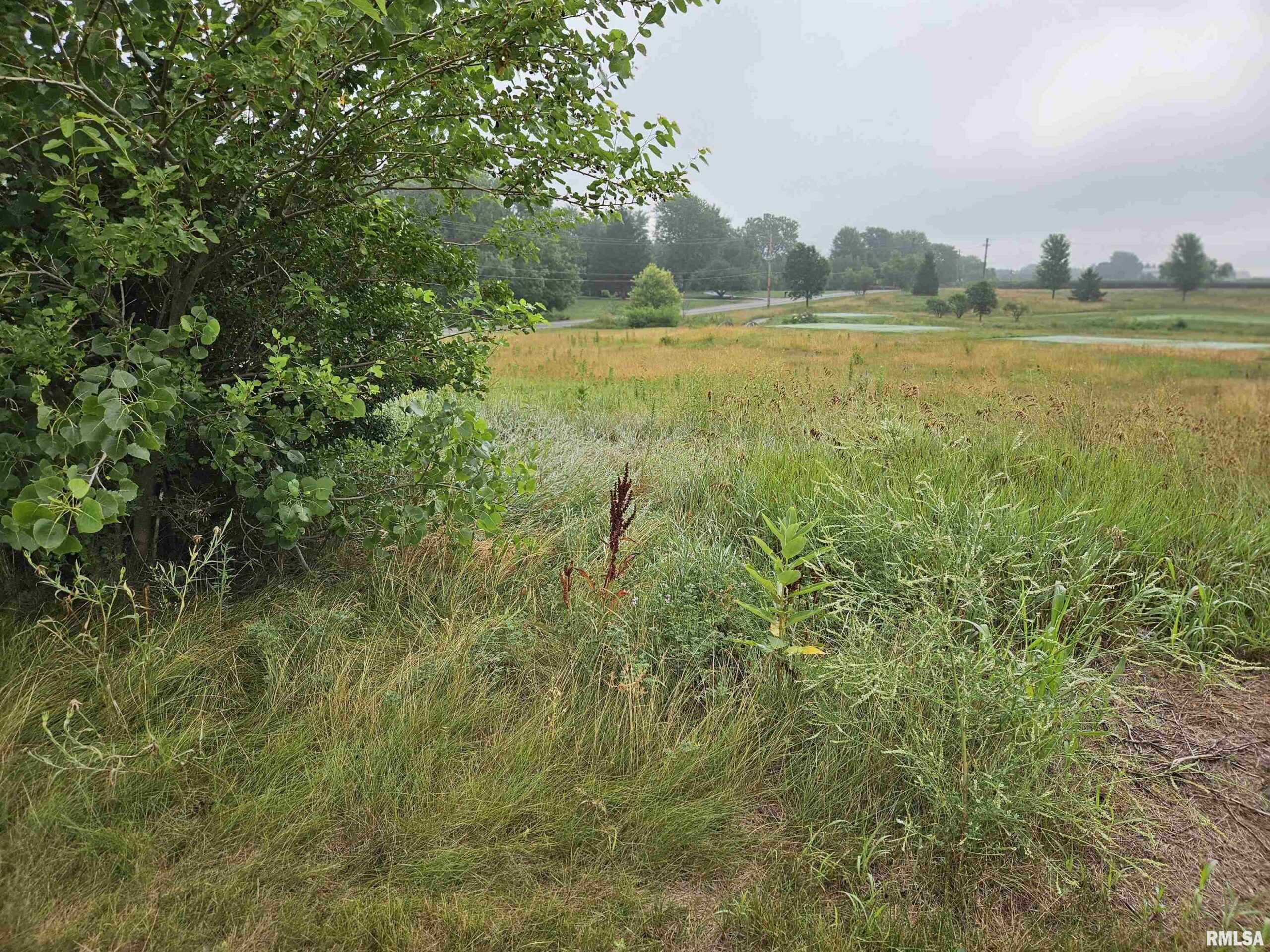 908 Brinkman Way  Metamora IL 61548