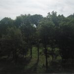 000 Beard Road  Xenia IL 62899