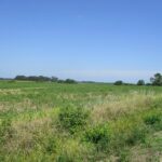 0000 Bean Road  Whittington IL 62897