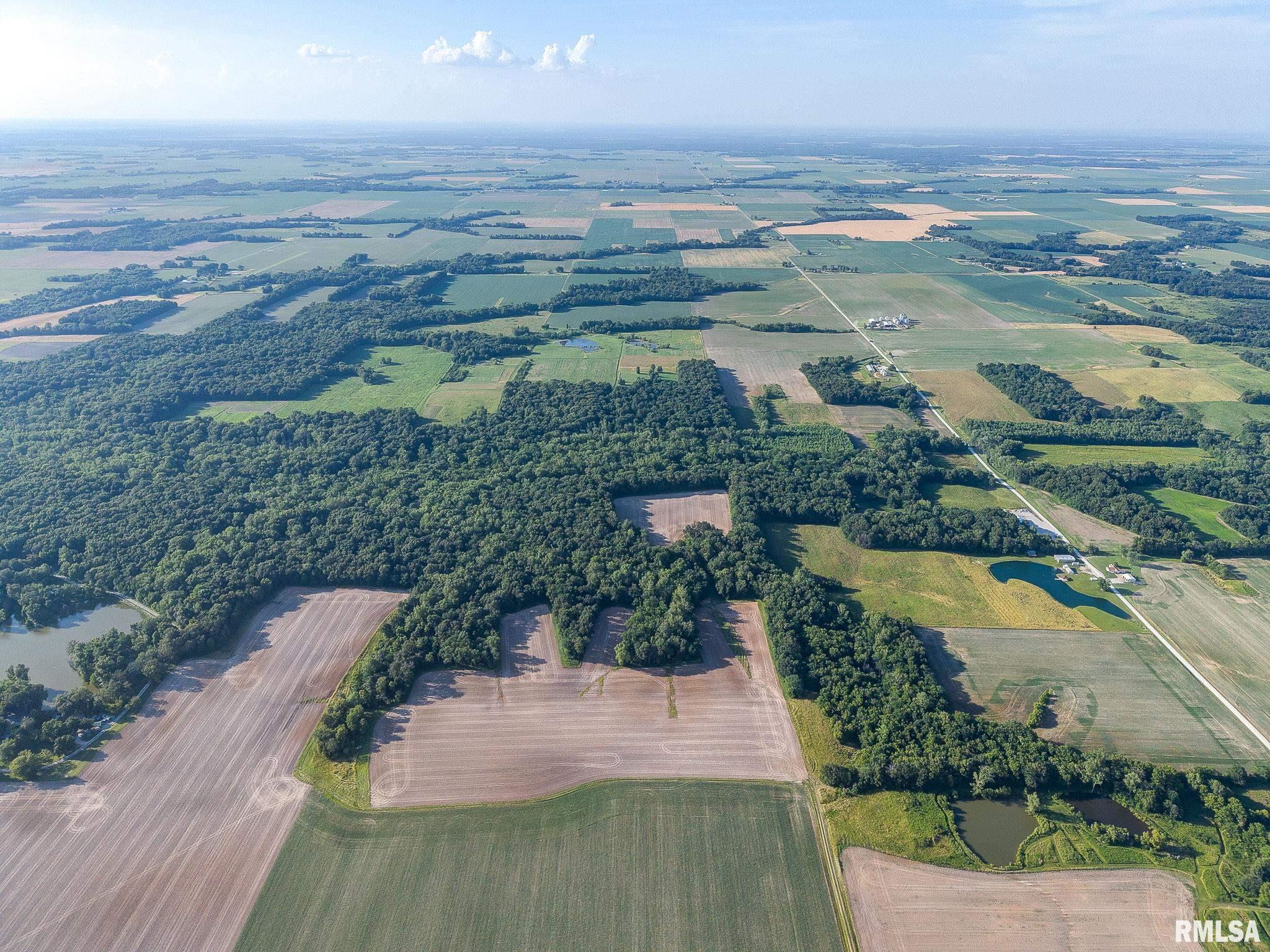 000 Jones Ridge Road  Alma IL 62807