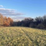15215 42ND Street West  Milan IL 61264