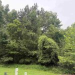 TBD Kokopelli Drive  Marion IL 62959