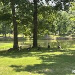 Lots 57-58 WILDWOOD Place  Dix IL 62830