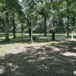 Lots 57-58 WILDWOOD Place  Dix IL 62830