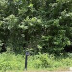 3126 VERMONT Road  Carterville IL 62918