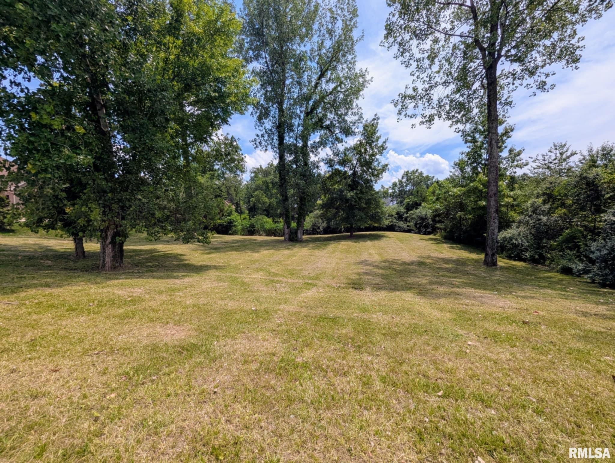69 David Livingstone Drive  Carterville IL 62918