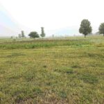 1002 Ring Drive  Metamora IL 61548