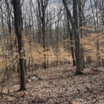 1548 Koehn Road  Ava IL 62907