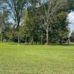 Lots 473- 476 IVY Road  Carbondale IL 62901