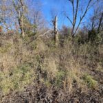 0000 IL Hwy 37 Highway Bonnie IL 62816