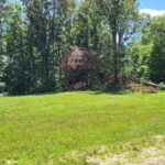 0001 TBD CROSS CREEK Road  Cobden IL 62920