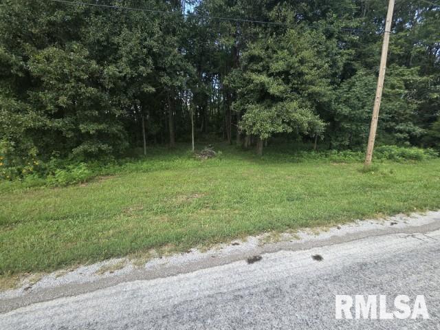 0000 NORTH Avenue  Bluford IL 62814