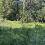 1010 WOODS Road Buncombe IL 62912