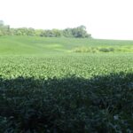 0 Highway 9 County Road  Lewistown IL 61542