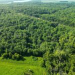 ROUTE 29   Taylorville IL 62568