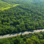 ROUTE 29   Taylorville IL 62568