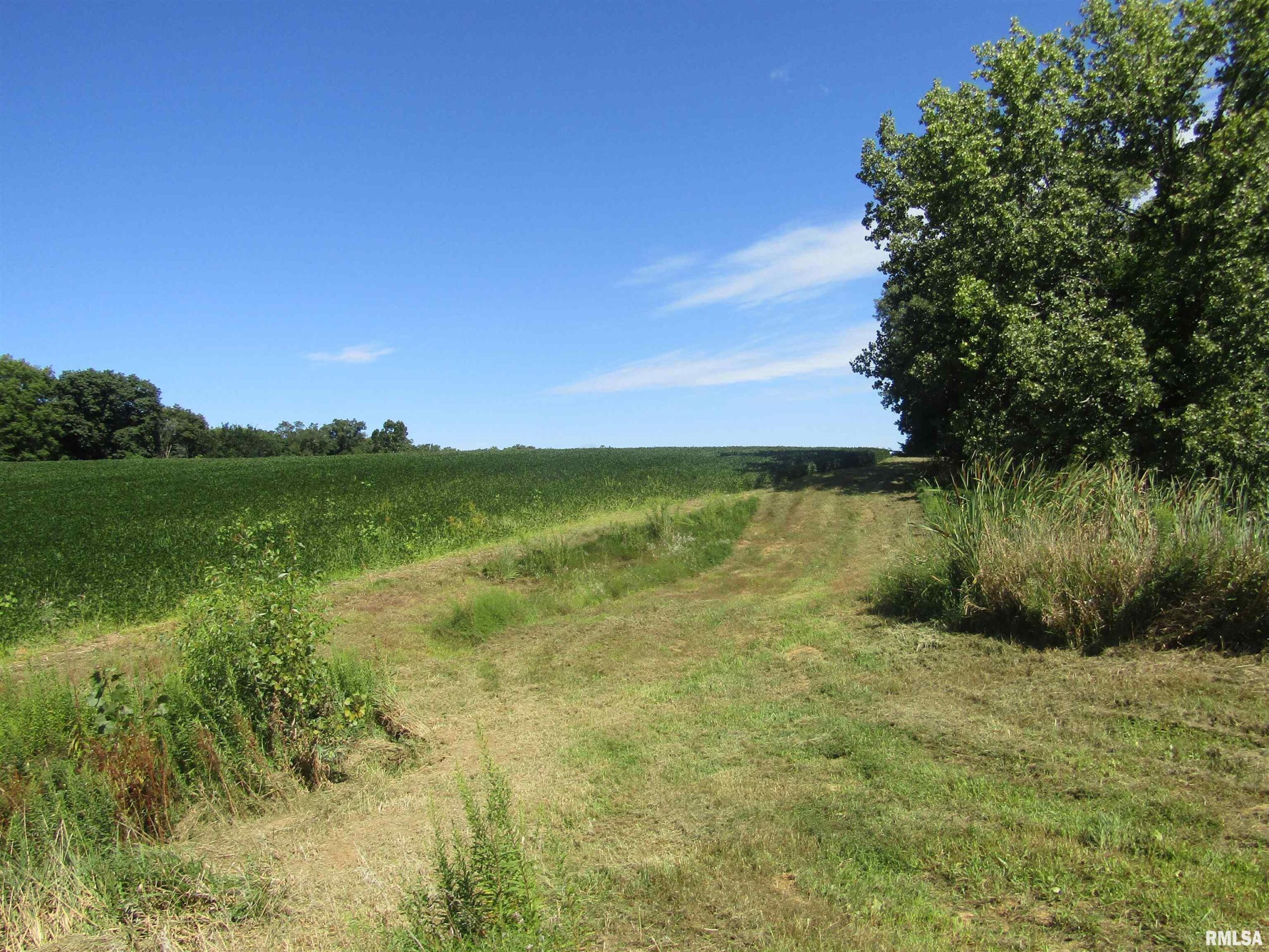 0 Highway 9 County Road  Lewistown IL 61542