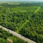 ROUTE 29   Taylorville IL 62568